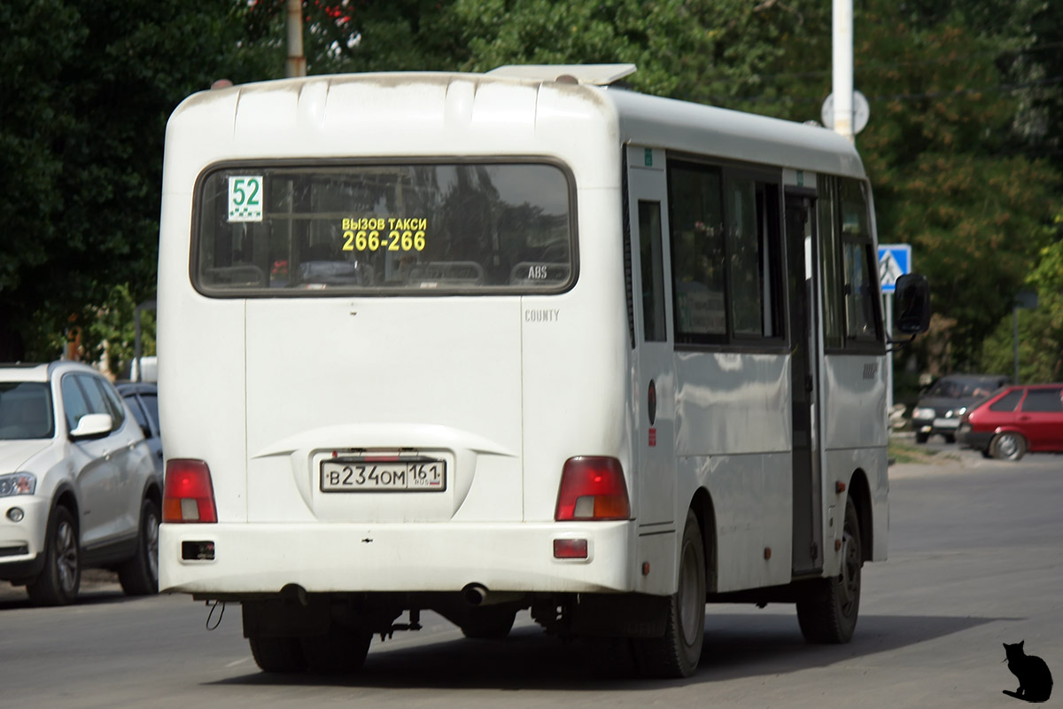 Ростовская область, Hyundai County LWB (ТагАЗ) № 007