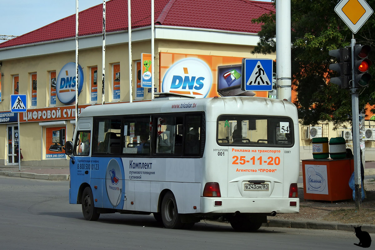 Ростовская область, Hyundai County LWB C09 (ТагАЗ) № 001