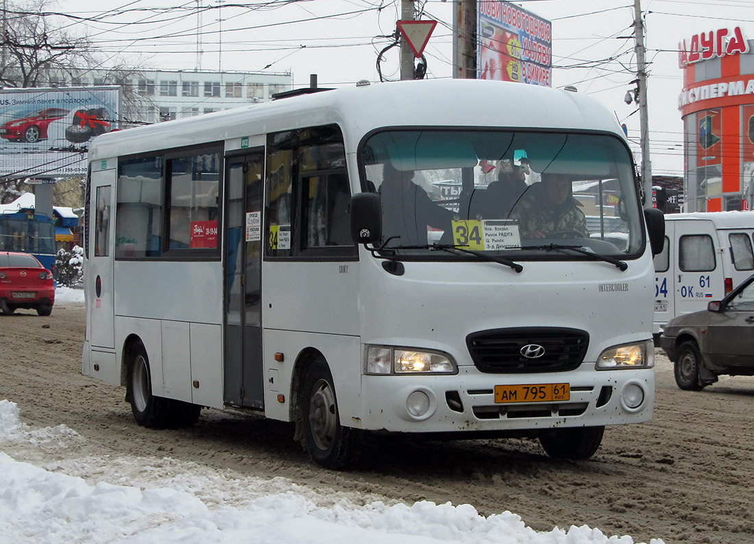 Ростовская область, Hyundai County LWB C09 (ТагАЗ) № 60