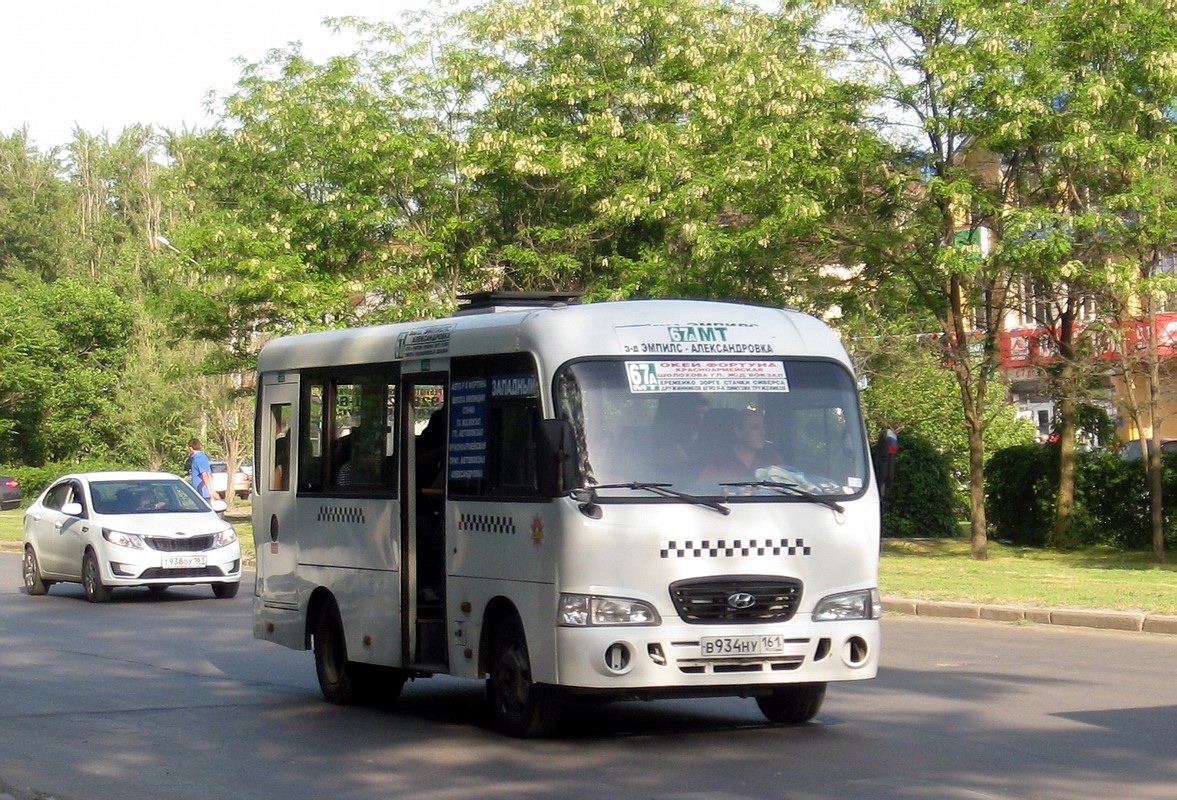 Ростовская область, Hyundai County SWB C08 (ТагАЗ) № 00748