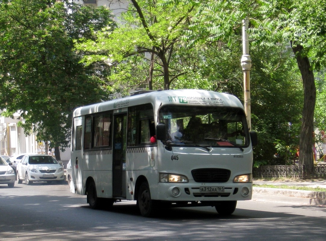 Ростовская область, Hyundai County SWB C08 (ТагАЗ) № 045