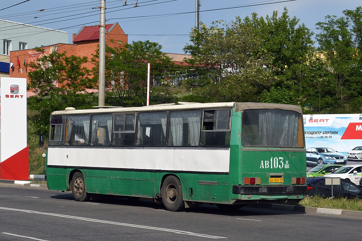 Белгородская область, Ikarus 260.43 № АВ 103 31