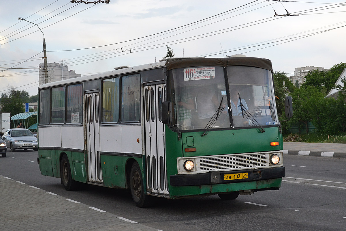 Белгарадская вобласць, Ikarus 260.43 № АВ 103 31