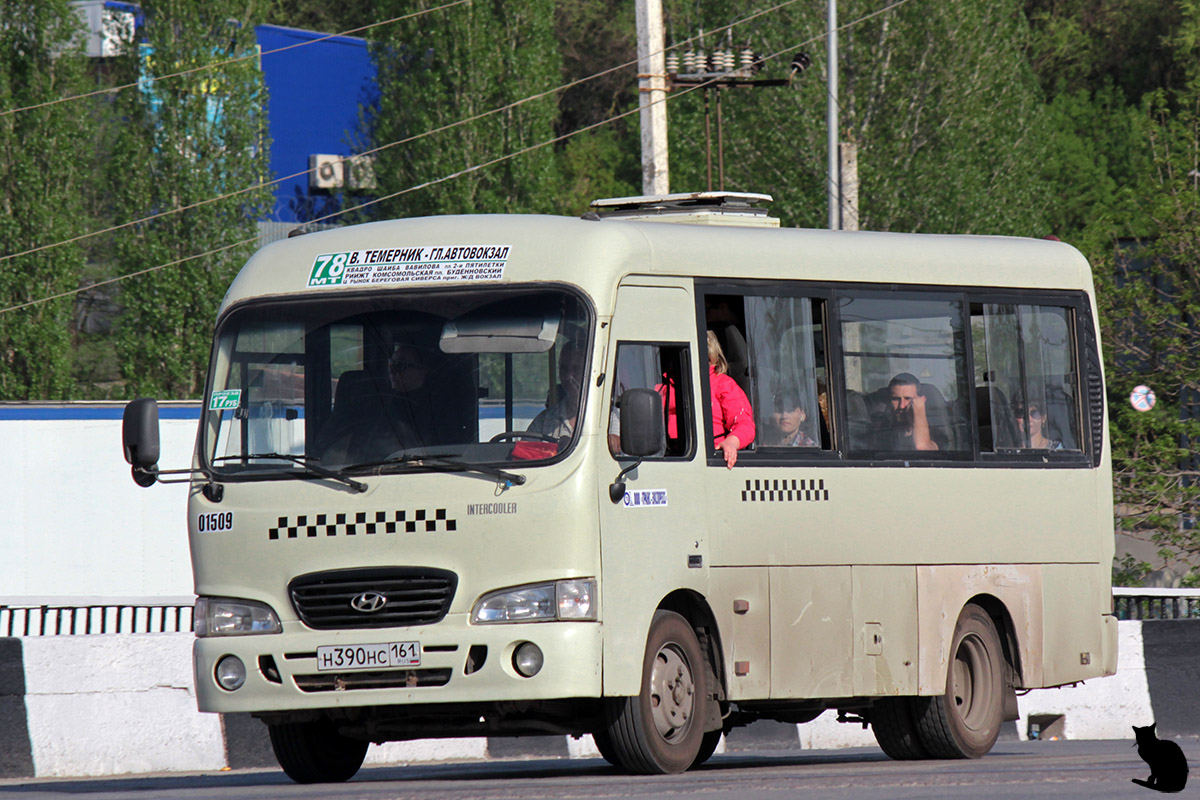 Ростовская область, Hyundai County SWB C08 (РЗГА) № 01509