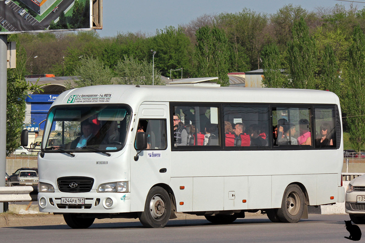 Ростовская область, Hyundai County LWB C09 (ТагАЗ) № А 244 РА 161