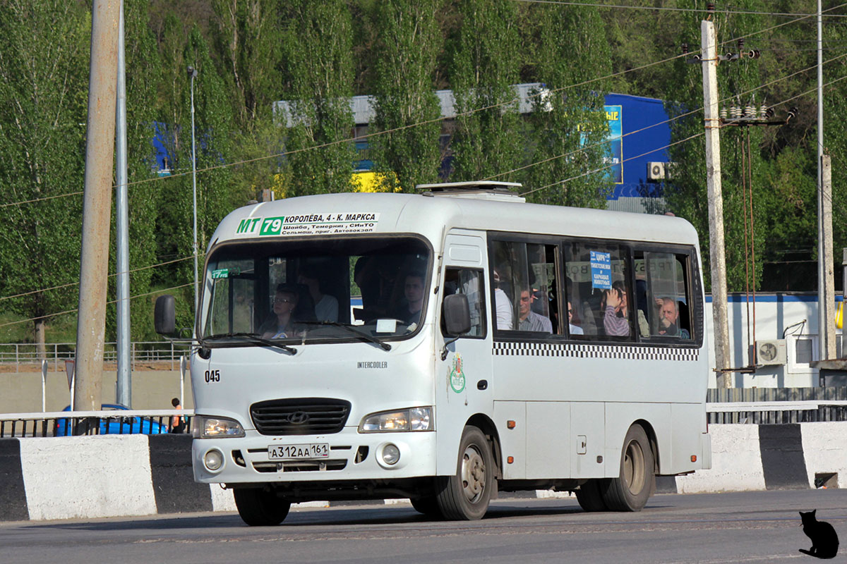 Ростовская область, Hyundai County SWB C08 (ТагАЗ) № 045