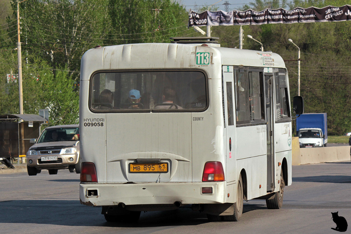 Ростовская область, Hyundai County LWB C09 (ТагАЗ) № МВ 895 61