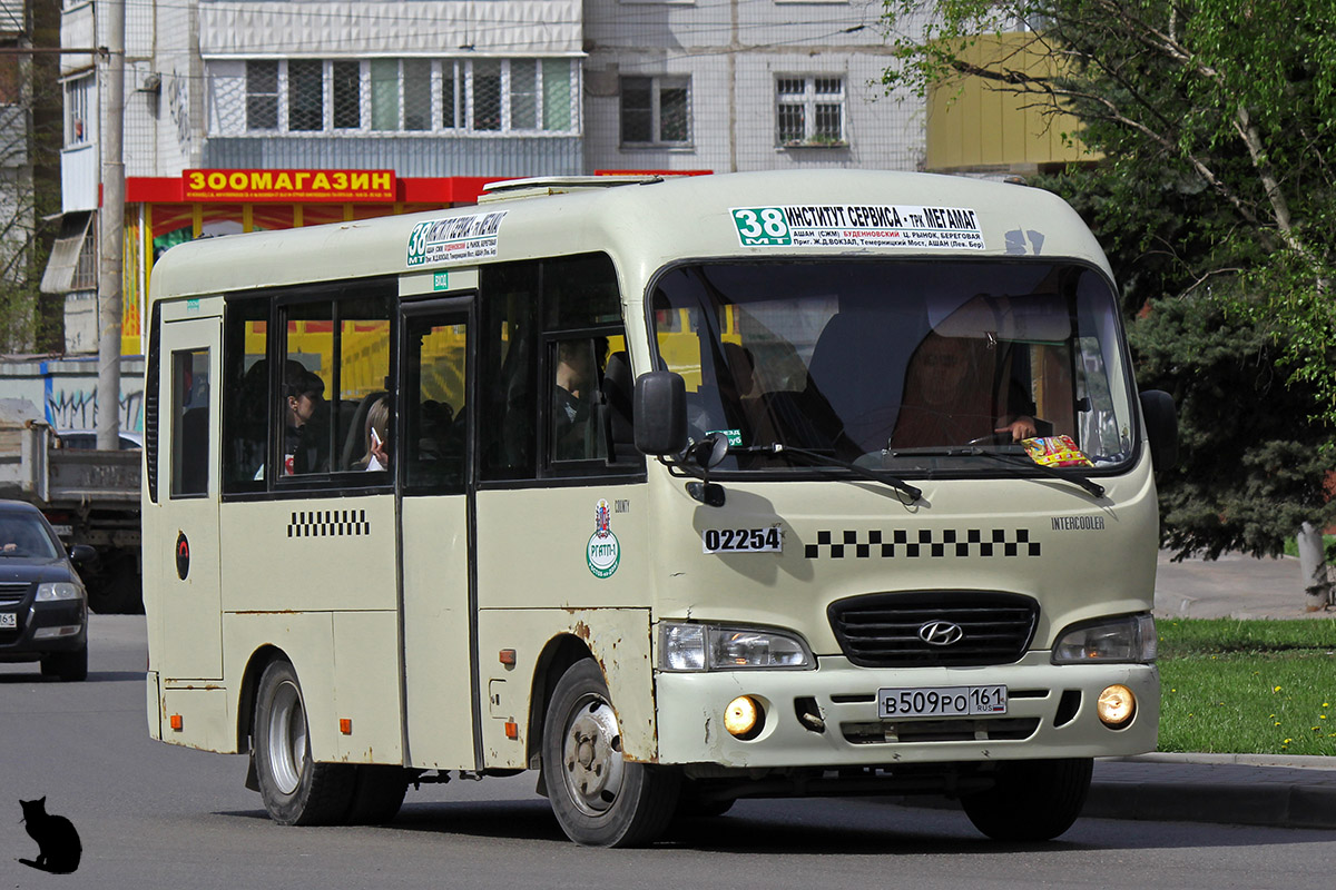 Ростовская область, Hyundai County SWB C08 (РЗГА) № 02254