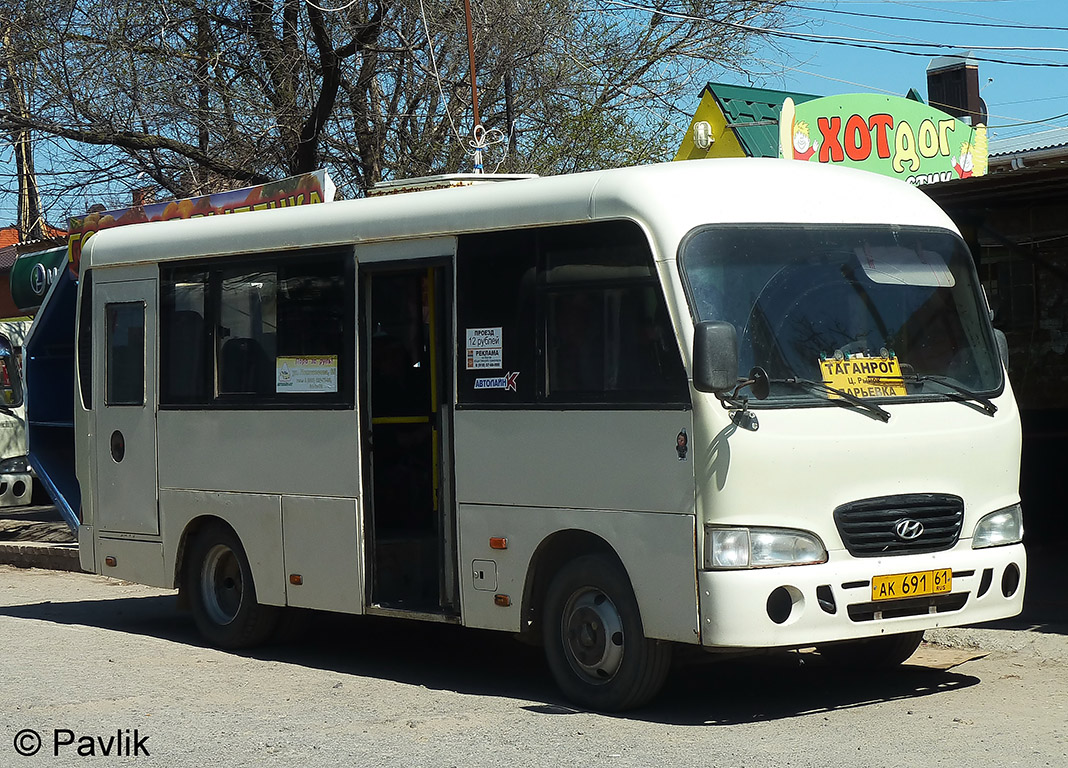 Rostov region, Hyundai County SWB C08 (RZGA) # 11