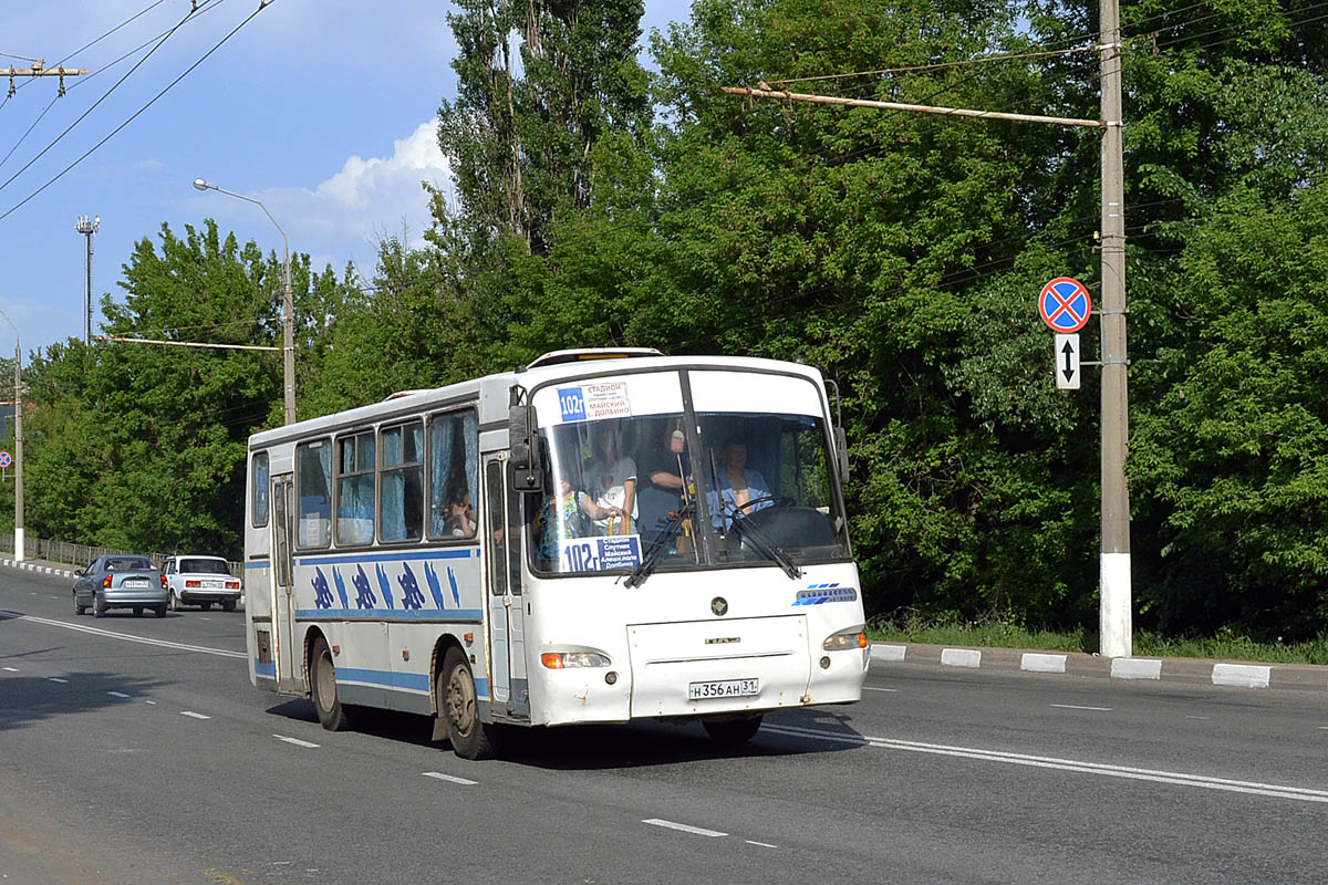 Белгородская область, ПАЗ-4230-03 № Н 356 АН 31