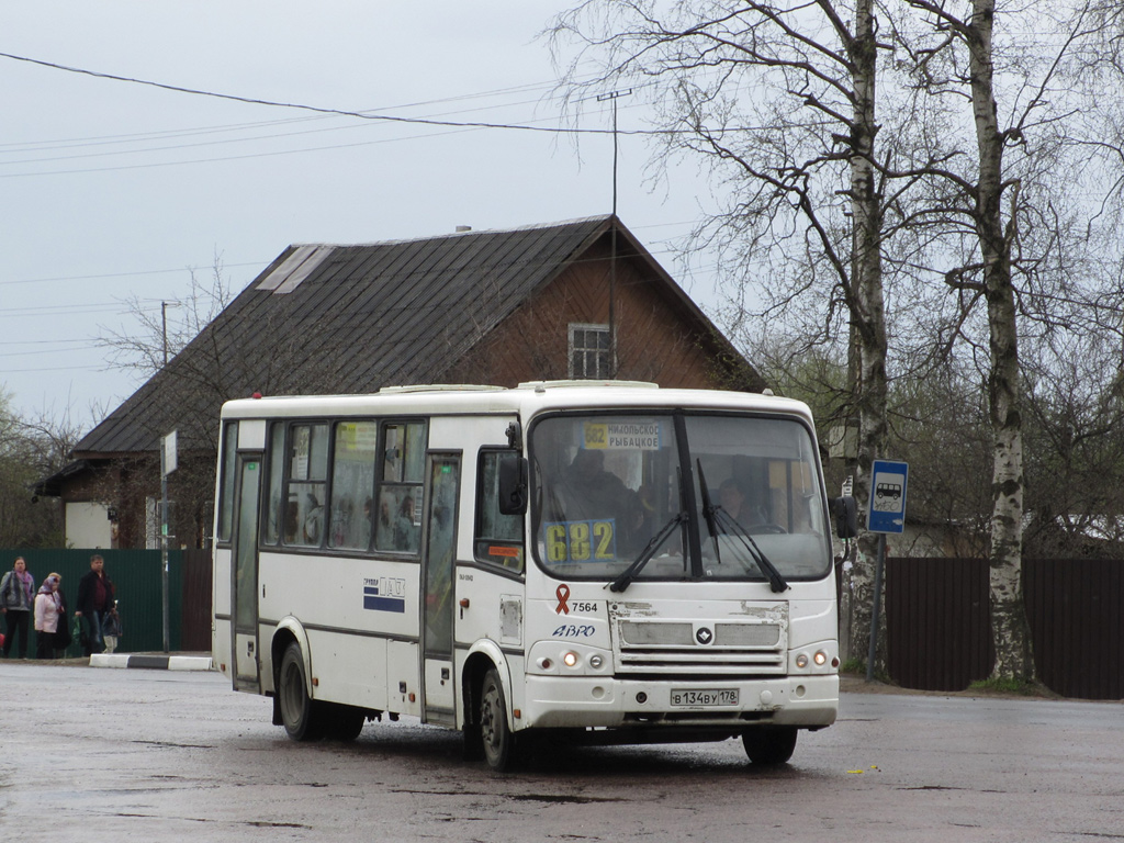 Ленинградская область, ПАЗ-320412-05 № 7564