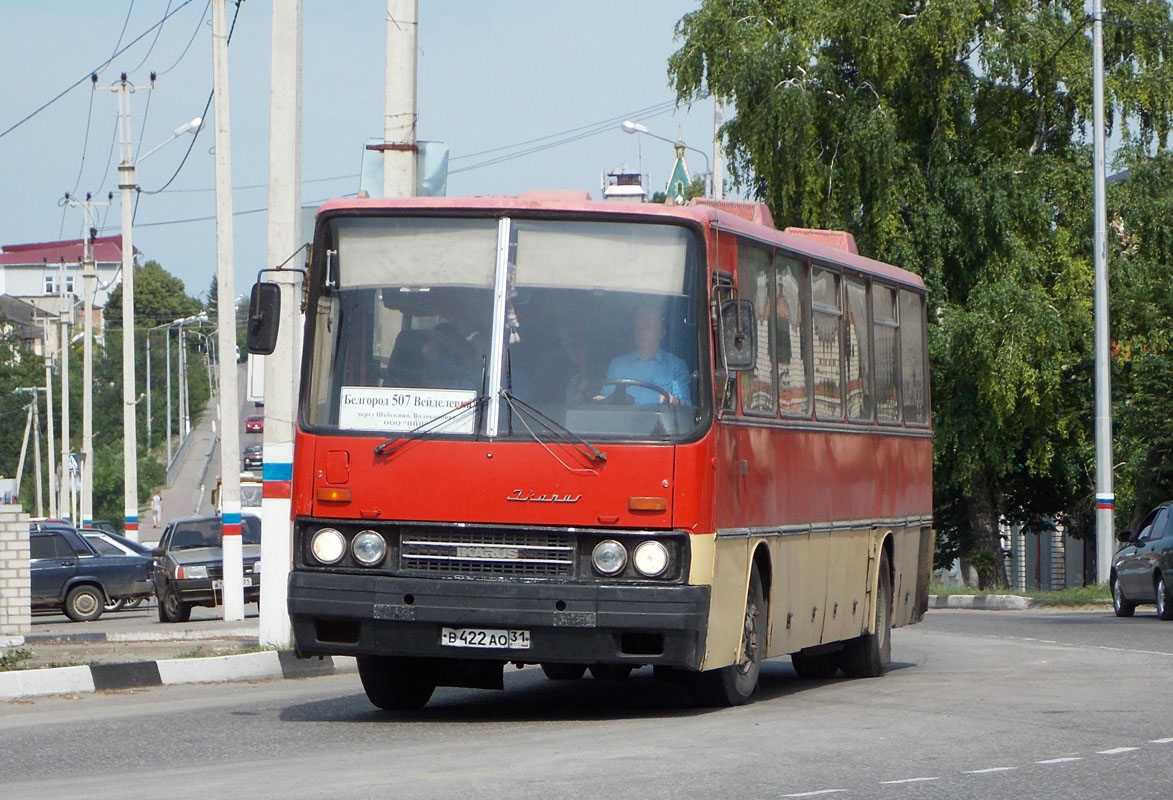 Белгородская область, Ikarus 250.93 № В 422 АО 31 — Фото — Автобусный  транспорт