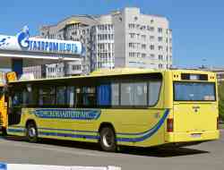 338 КБ