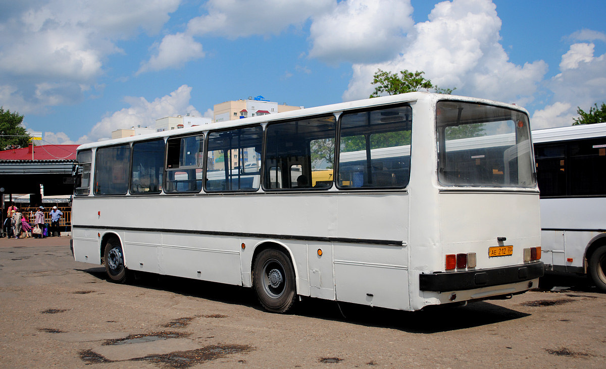 Bryansk region, Ikarus 260 № 411