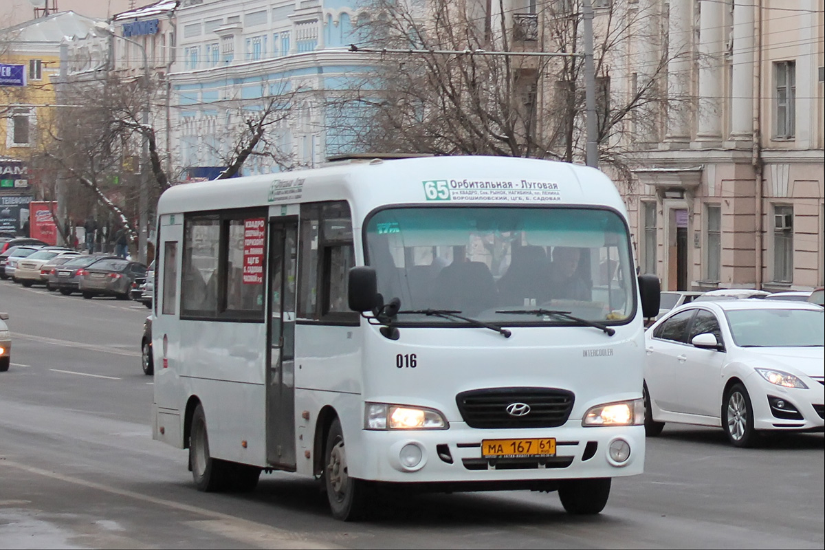 Ростовская область, Hyundai County LWB C11 (ТагАЗ) № 016