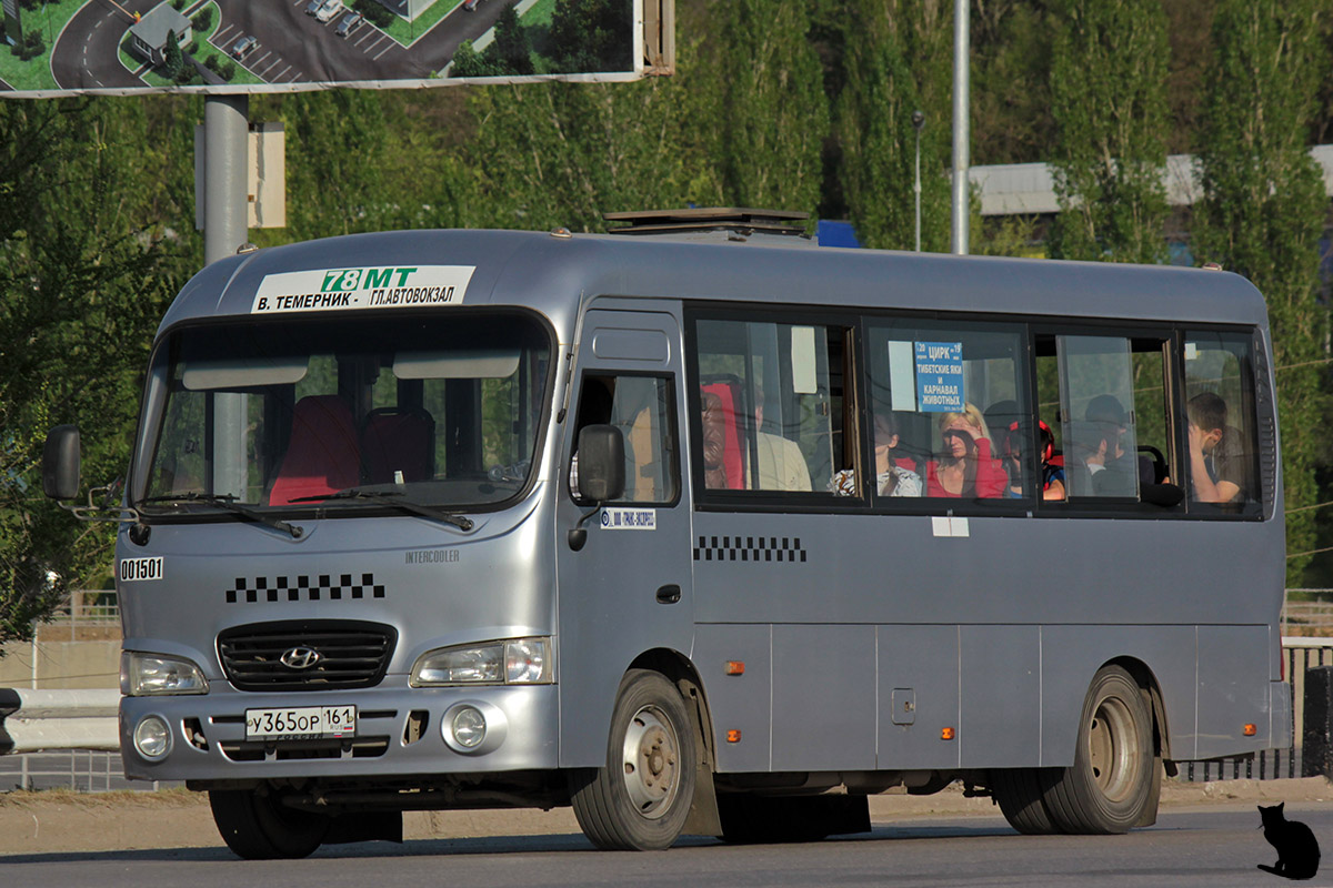 Ростовская область, Hyundai County LWB C09 (ТагАЗ) № 01501