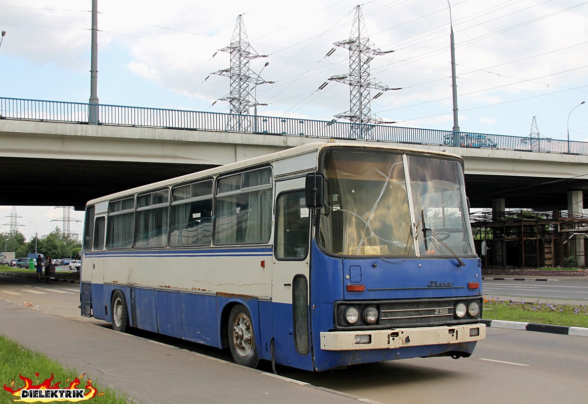 Московская область, Ikarus 256.51 № С 556 УУ 90