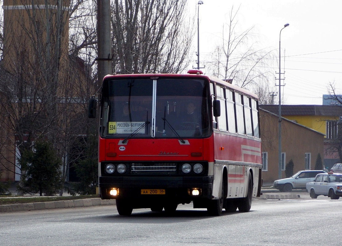 Воронежская область, Ikarus 256 № АА 200 36 — Фото — Автобусный транспорт