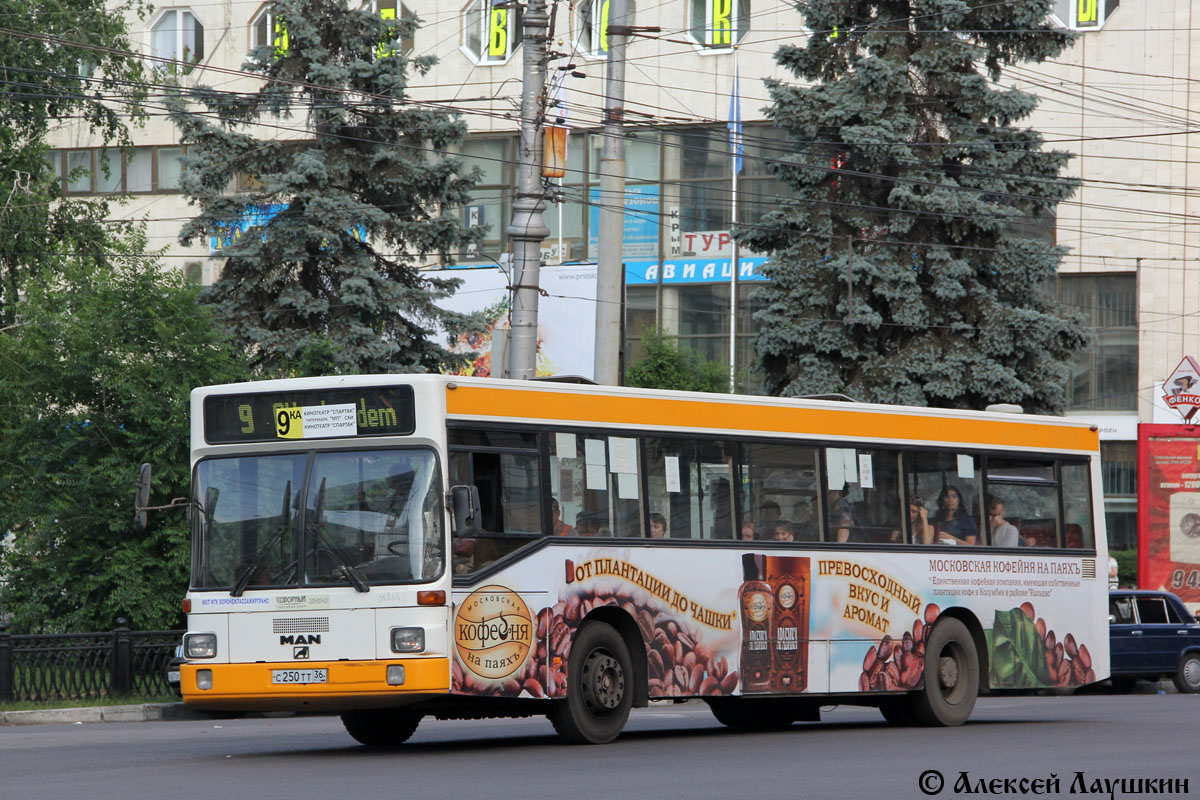 Воронежская область, MAN 791 SL202 № С 250 ТТ 36