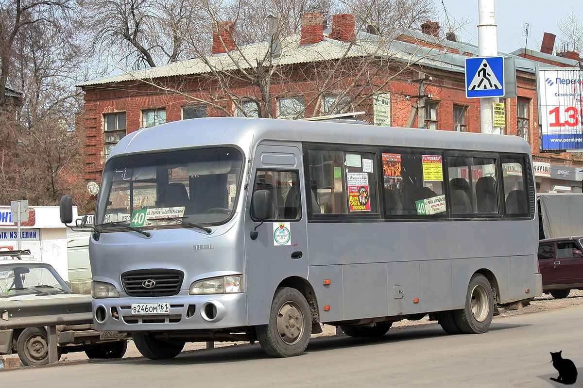 Ростовская область, Hyundai County LWB C11 (ТагАЗ) № 015