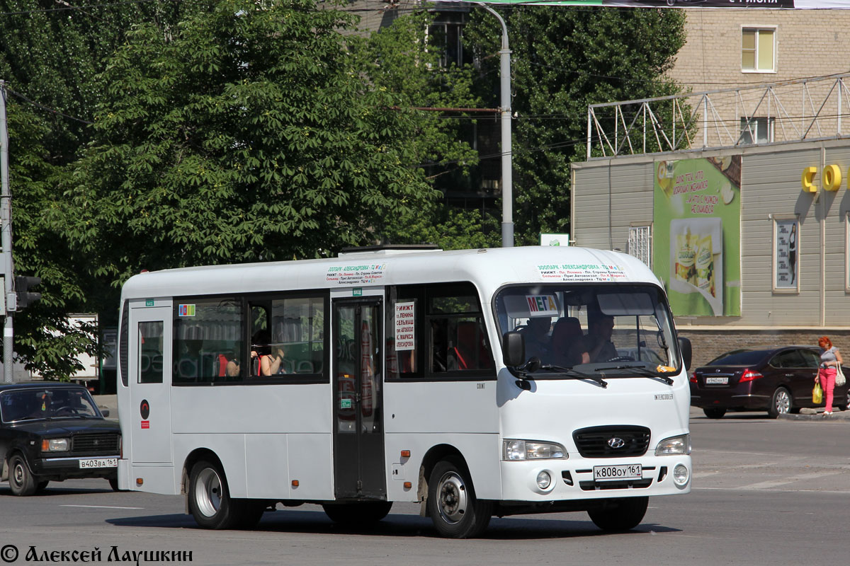 Ростовская область, Hyundai County LWB C09 (ТагАЗ) № 010