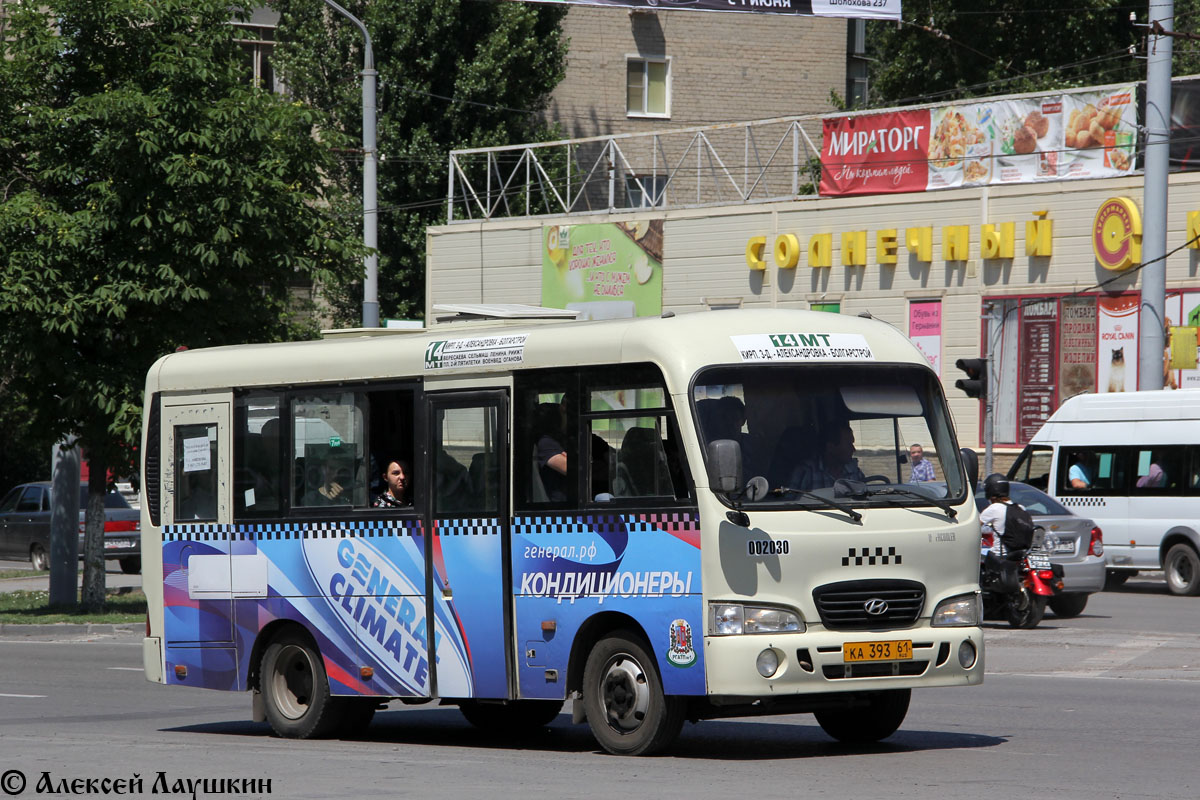 Ростовская область, Hyundai County SWB C08 (РЗГА) № 002030