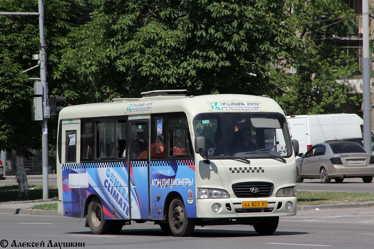 Ростовская область, Hyundai County SWB C08 (РЗГА) № 002049