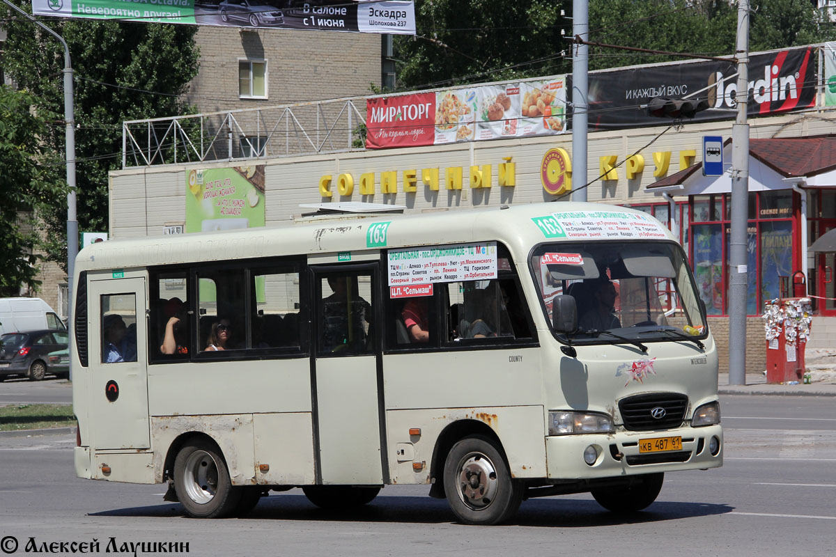 Rostov region, Hyundai County SWB C08 (RZGA) № КВ 487 61