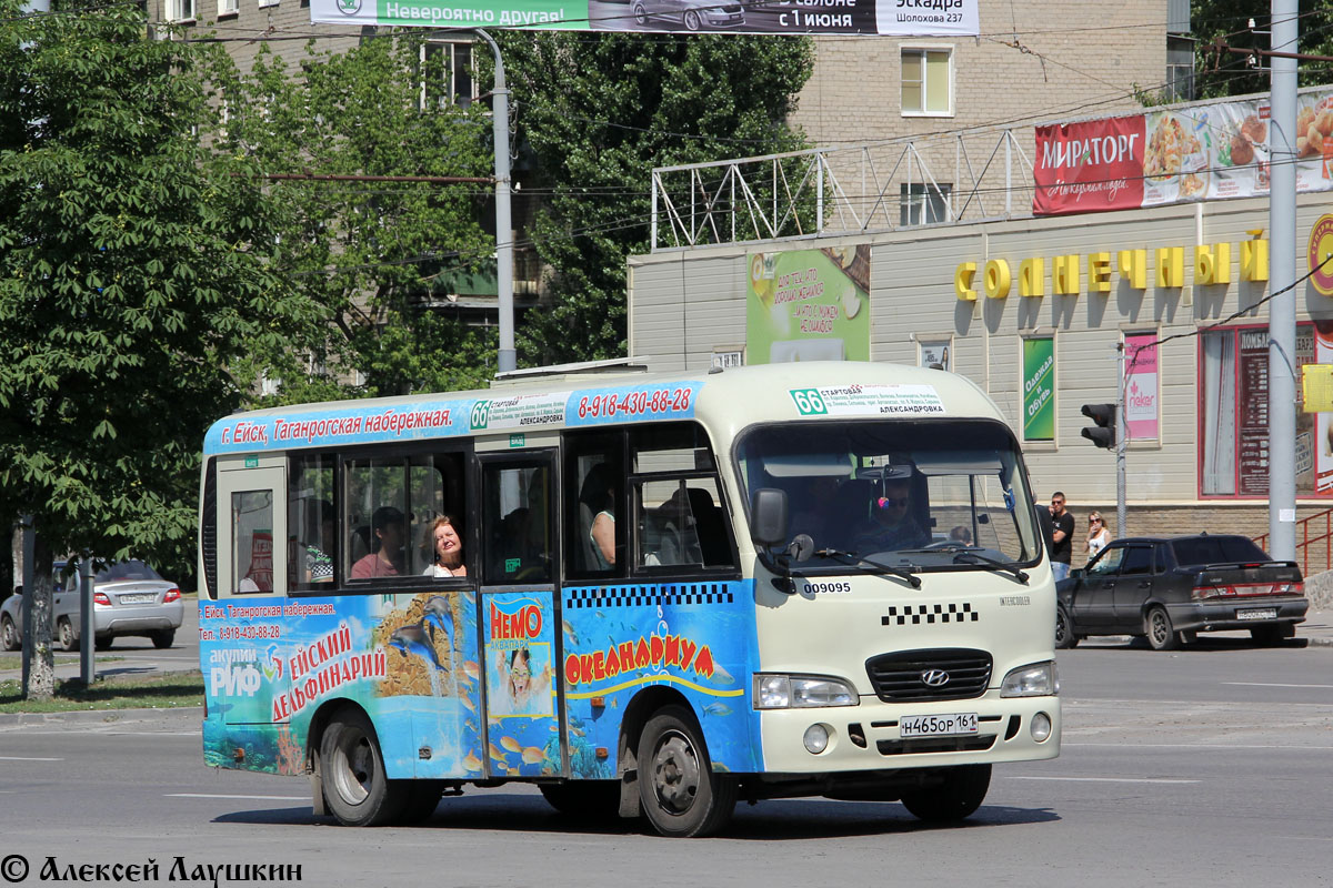 Ростовская область, Hyundai County SWB C08 (РЗГА) № 009095