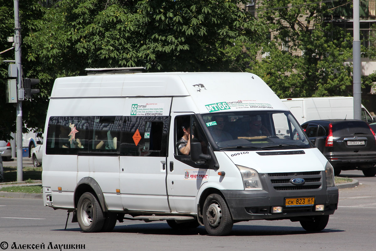 Ростовская область, ГолАЗ-3030 (Ford Transit) № 009160