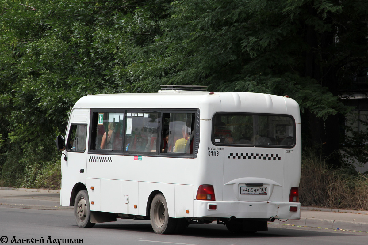 Ростовская область, Hyundai County SWB C08 (ТагАЗ) № 04116