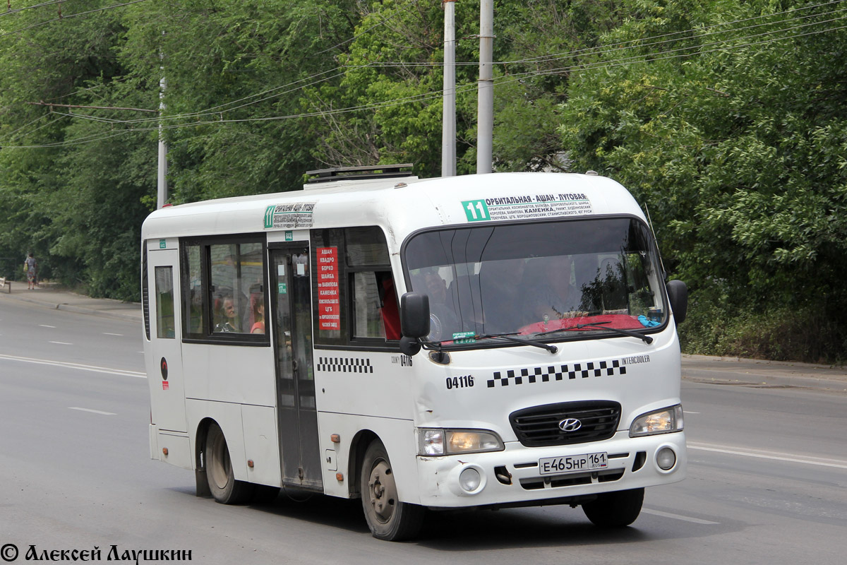 Ростовская область, Hyundai County SWB C08 (ТагАЗ) № 04116