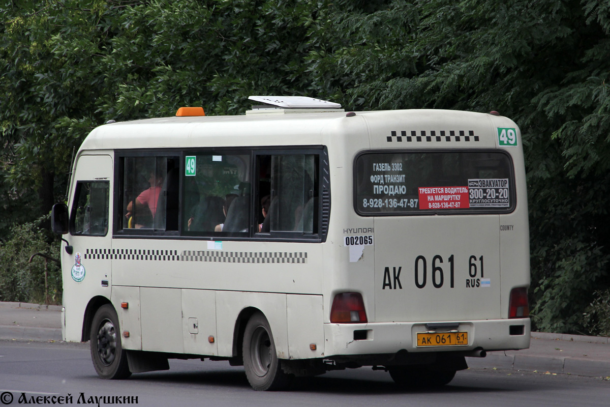 Ростовская область, Hyundai County SWB C08 (РЗГА) № 002065