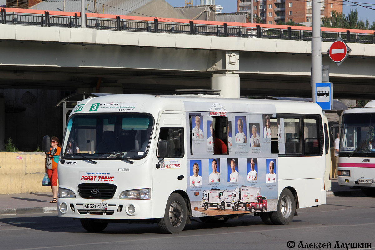 Ростовская область, Hyundai County LWB C09 (ТагАЗ) № 009125