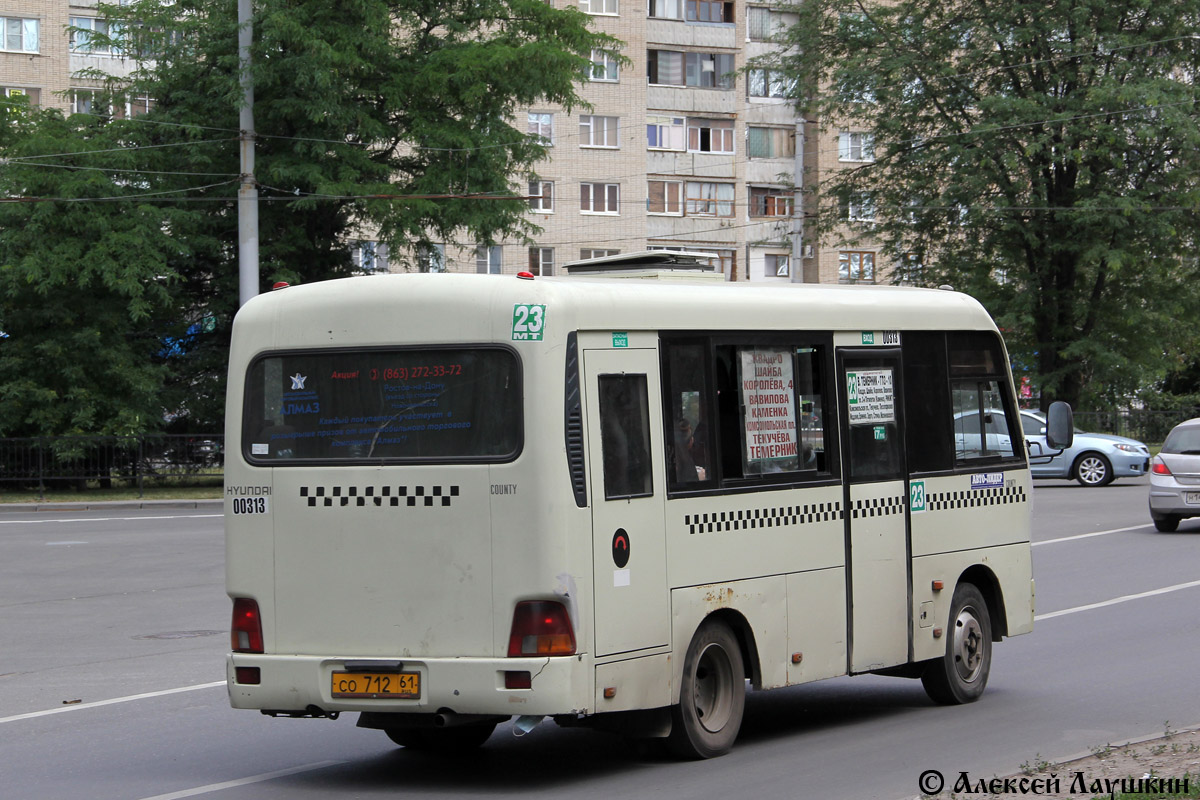 Ростовская область, Hyundai County SWB C08 (РЗГА) № 00313