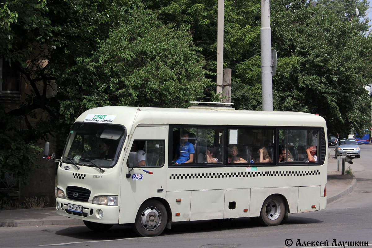 Ростовская область, Hyundai County SWB C08 (РЗГА) № 012035