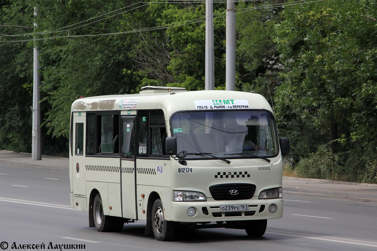 Ростовская область, Hyundai County SWB C08 (РЗГА) № 012174