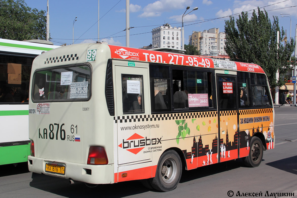 Ростовская область, Hyundai County SWB C08 (РЗГА) № 002124