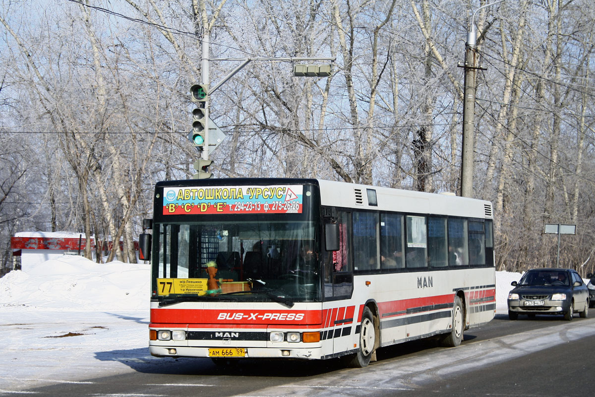 Пермский край, MAN A20 NÜ313 № АМ 666 59