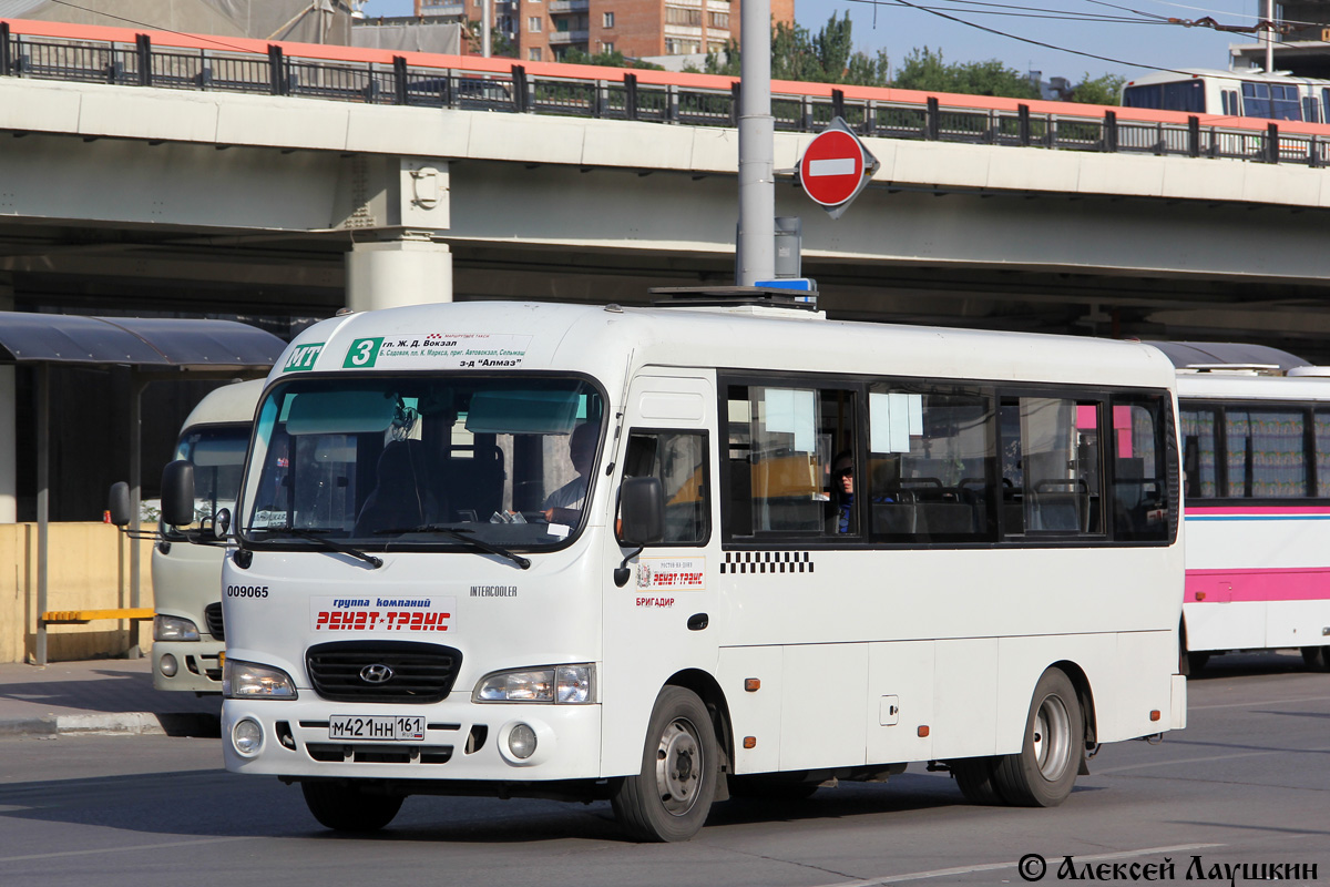 Ростовская область, Hyundai County LWB C09 (ТагАЗ) № 009065