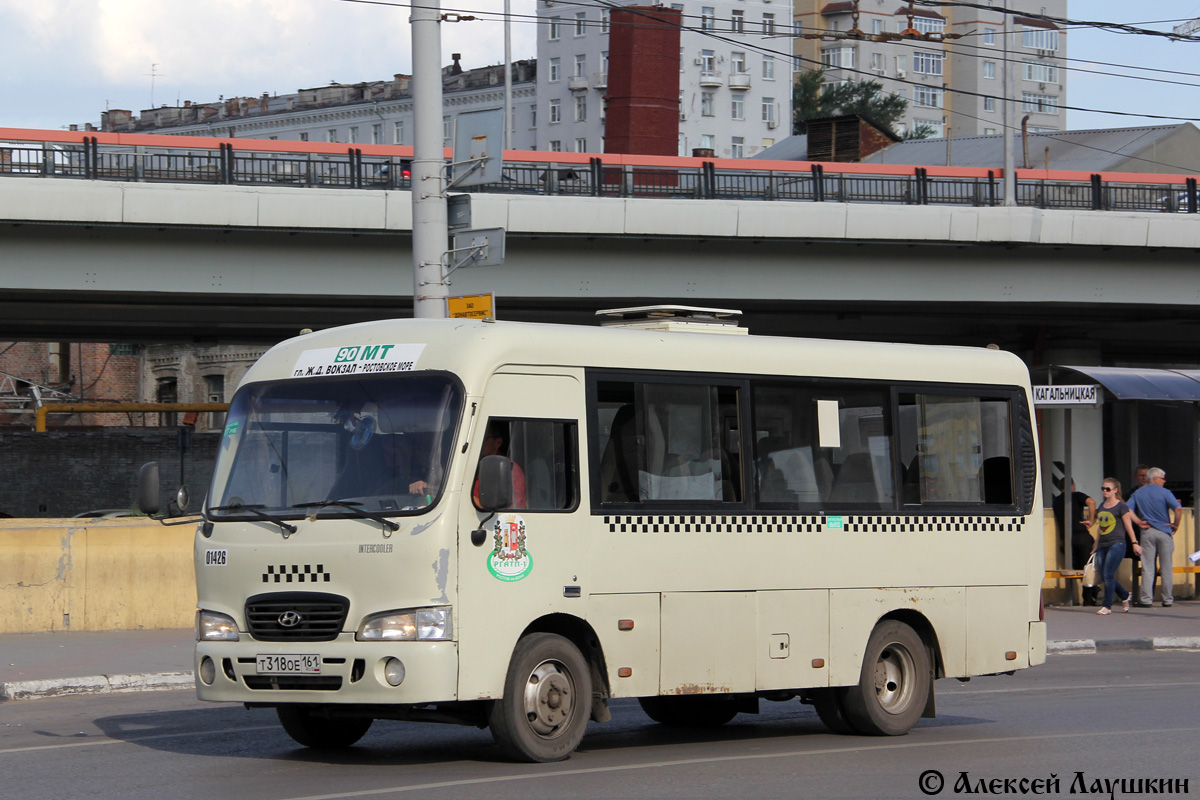 Ростовская область, Hyundai County SWB C08 (РЗГА) № 01426