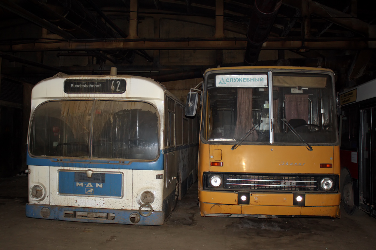 Пермский край, MAN 192 SL200 № АС 659 59; Пермский край, Ikarus 260.50 № АУ 684 59; Пермский край — Разные фотографии