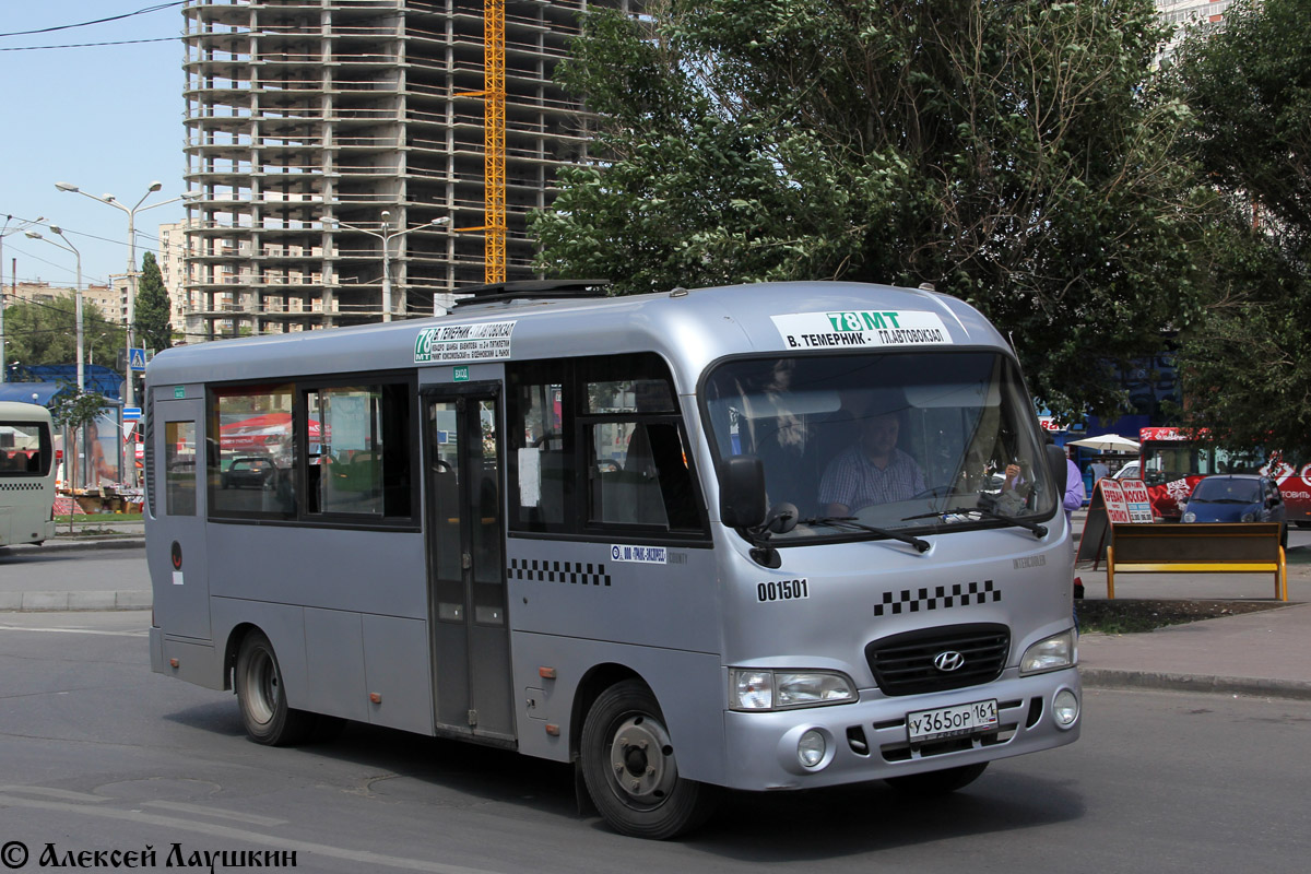 Ростовская область, Hyundai County LWB C09 (ТагАЗ) № 01501