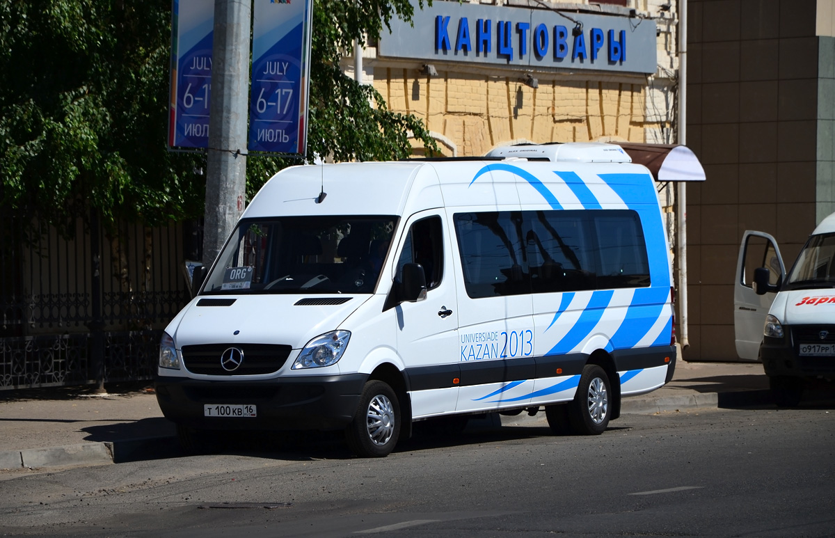 Татарстан, Луидор-22360C (MB Sprinter) № Т 100 КВ 16