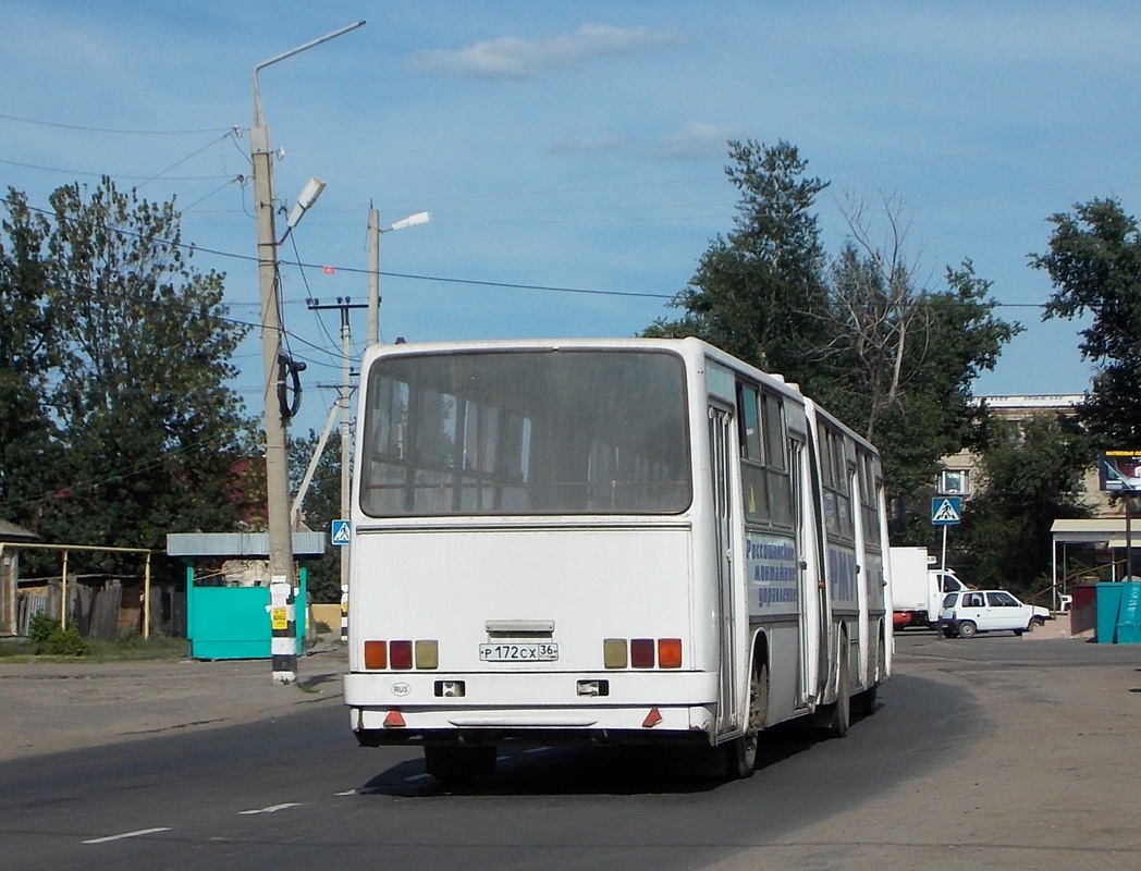 Voronezh region, Ikarus 280.49 Nr. Р 172 СХ 36 — Nuotrauka — Autobusų  transportas