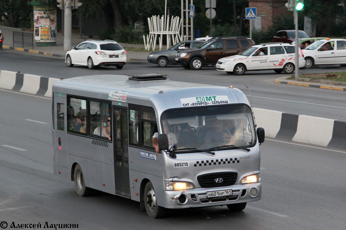 Ростовская область, Hyundai County LWB C09 (ТагАЗ) № 005215