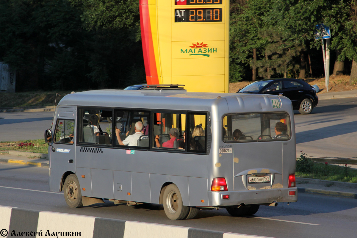 Ростовская область, Hyundai County LWB C09 (ТагАЗ) № 005215