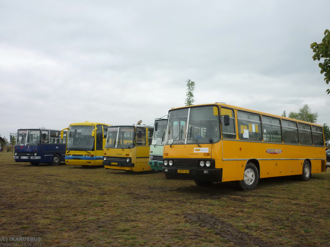 Ουγγαρία, Ikarus 266 (Borsod Volán) # BPR-685; Ουγγαρία, Ikarus 280.15 # 75-15; Ουγγαρία, Ikarus EAG 398.20/E98.20 # FJC-414; Ουγγαρία, Ikarus 260.00 # FIS-540; Ουγγαρία — V. Nemzetközi Ikarus, Csepel és Veteránjármű Találkozó, Polgár (2012)