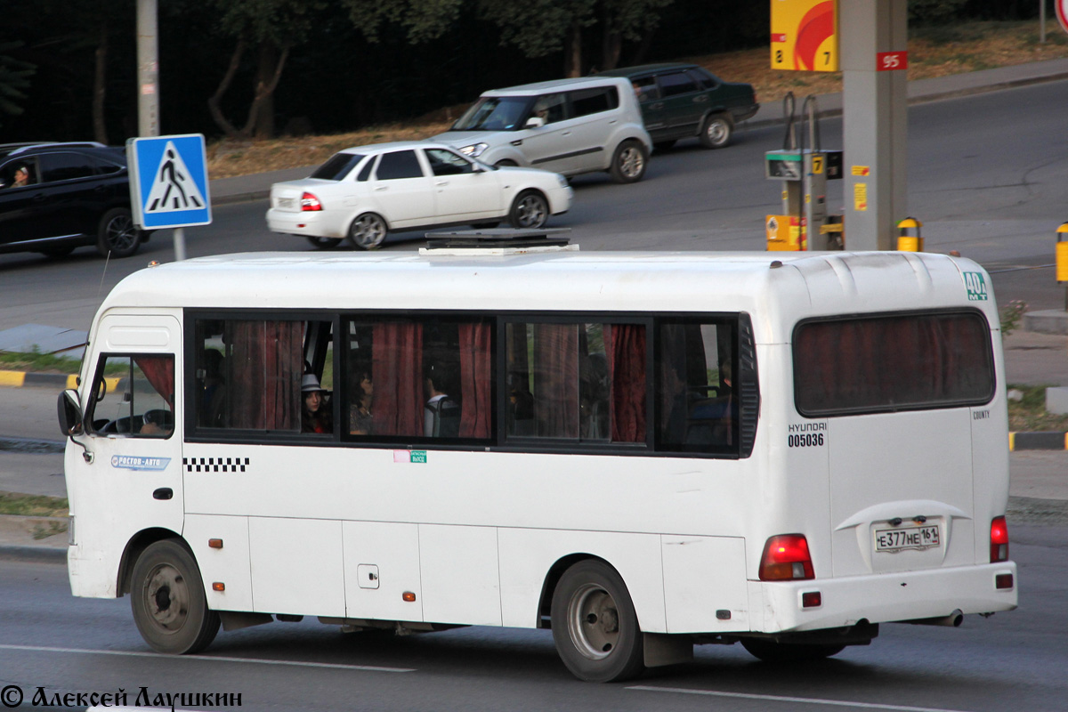 Ростовская область, Hyundai County LWB C09 (ТагАЗ) № 005036