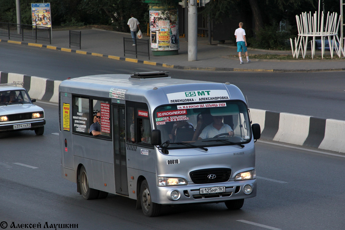 Ростовская область, Hyundai County LWB C09 (ТагАЗ) № 00010